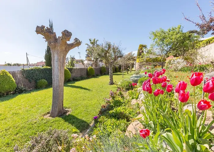 Villa 2mg -